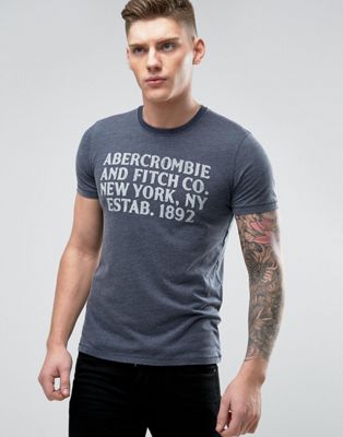 Abercrombie \u0026 Fitch Burnout T-Shirt 