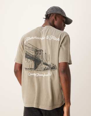 Abercrombie & Fitch city scenic back logo vintage acid wash oversized t-shirt in mid green