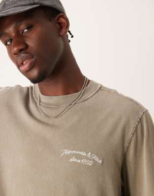 Abercrombie & Fitch city scenic back logo vintage acid wash oversized t-shirt in mid green