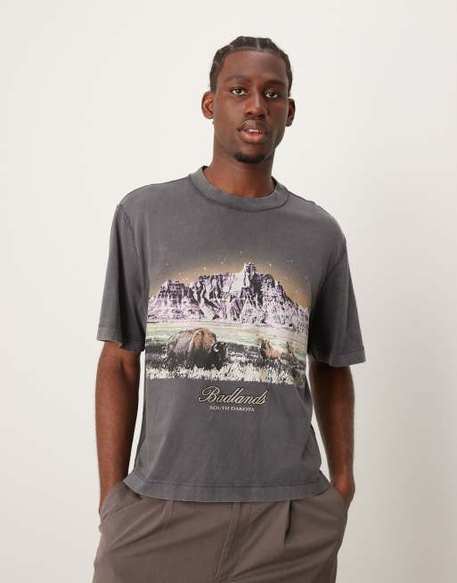 Abercrombie & Fitch - Cropped T-shirt met National Park Badlands-print en acid-wash in antraciet