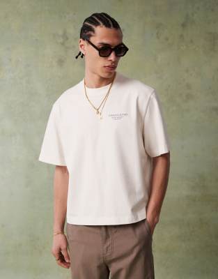 Abercrombie & Fitch Destination Back Print Cropped T-shirt In White