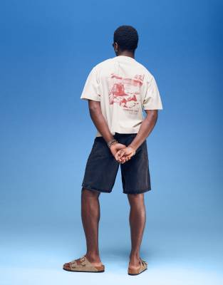Abercrombie & Fitch Destination Back Print Cropped T-shirt