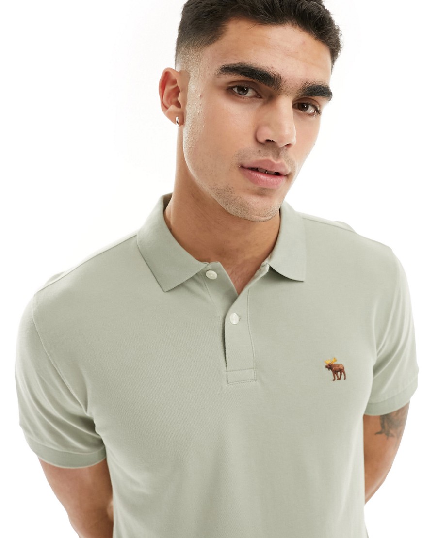 Abercrombie & Fitch elevated icon logo pique polo in light green
