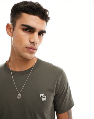 Abercrombie & Fitch elevated icon logo t-shirt in olive green
