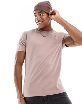 Abercrombie & Fitch elevated icon logo t-shirt in taupe
