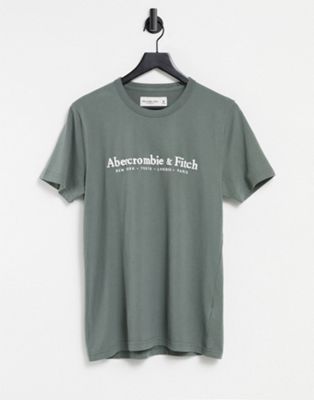Abercrombie & Fitch Elevated Tech Logo T-shirt In Green