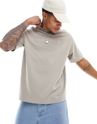 Abercrombie & Fitch embroidered trend logo t-shirt in beige