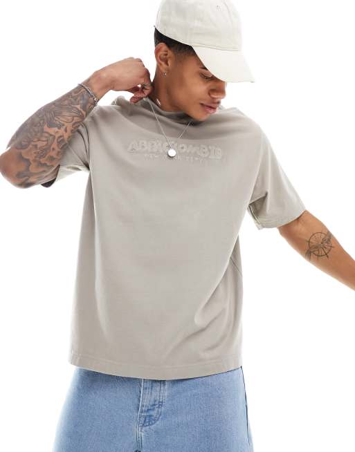 Abercrombie Fitch embroidered trend logo t shirt in beige