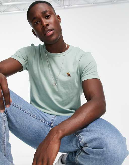 Abercrombie & Fitch – Grön t-shirt med ikon-logga