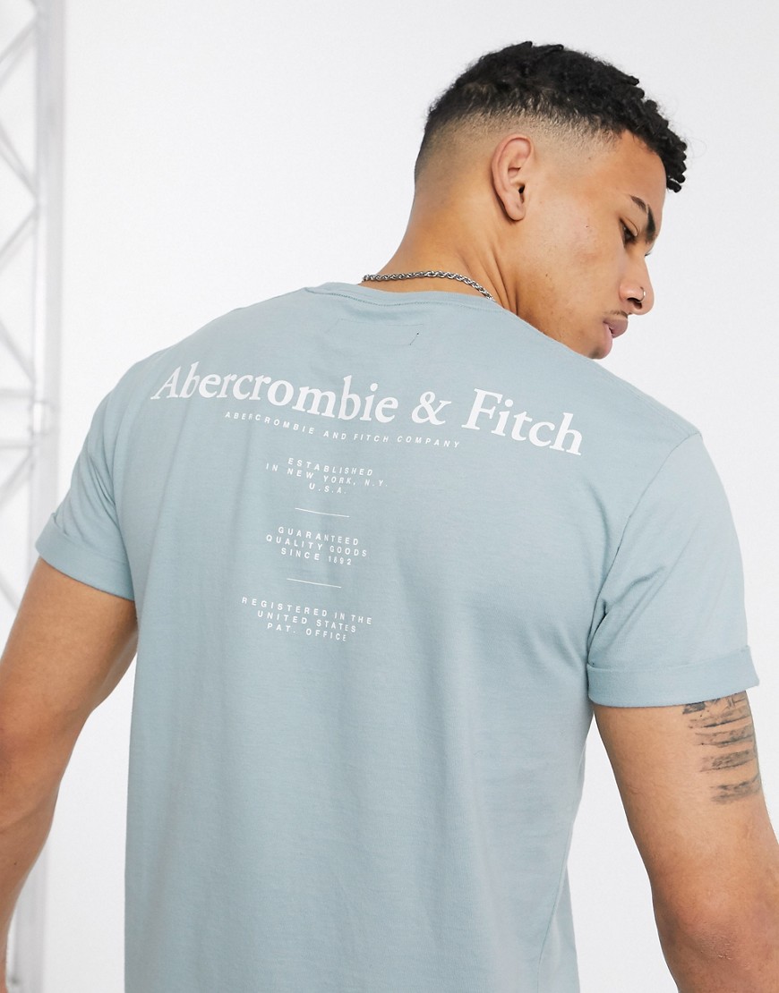 Abercrombie & Fitch heavy weight t-shirt in blue