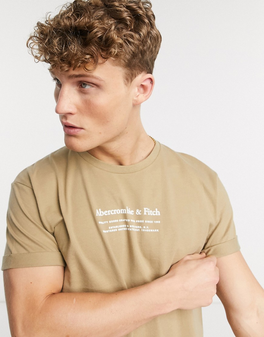 Abercrombie & Fitch heavy weight t-shirt in tan