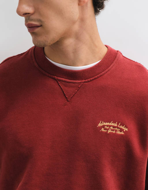 Abercrombie & Fitch heavyweight back graphic sweatshirt in burgundy, 4 of 5