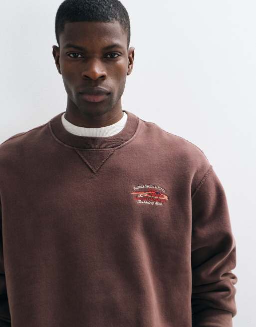 Abercrombie & Fitch heavyweight heritage graphic sweatshirt in brown, 1 of 10