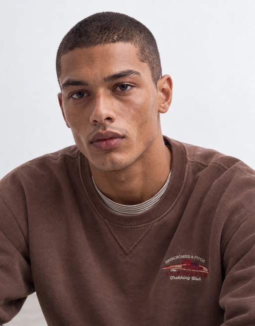 Abercrombie & Fitch heavyweight heritage graphic sweatshirt in brown, 9 of 10