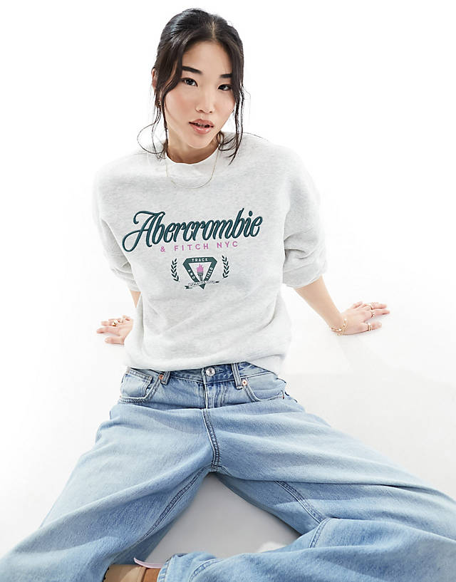 Abercrombie & Fitch - heritage embriodery and print sweatshirt in grey