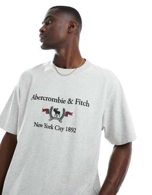Abercrombie & Fitch – Heritage – Gråmelerad t-shirt med logga