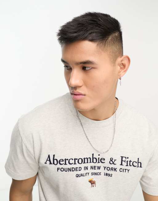 Abercrombie & Fitch heritage logo tshirt in grey marl ASOS