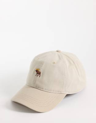 Abercrombie & Fitch Abercrombie & Fitch ico logo cap in beige-Neutral