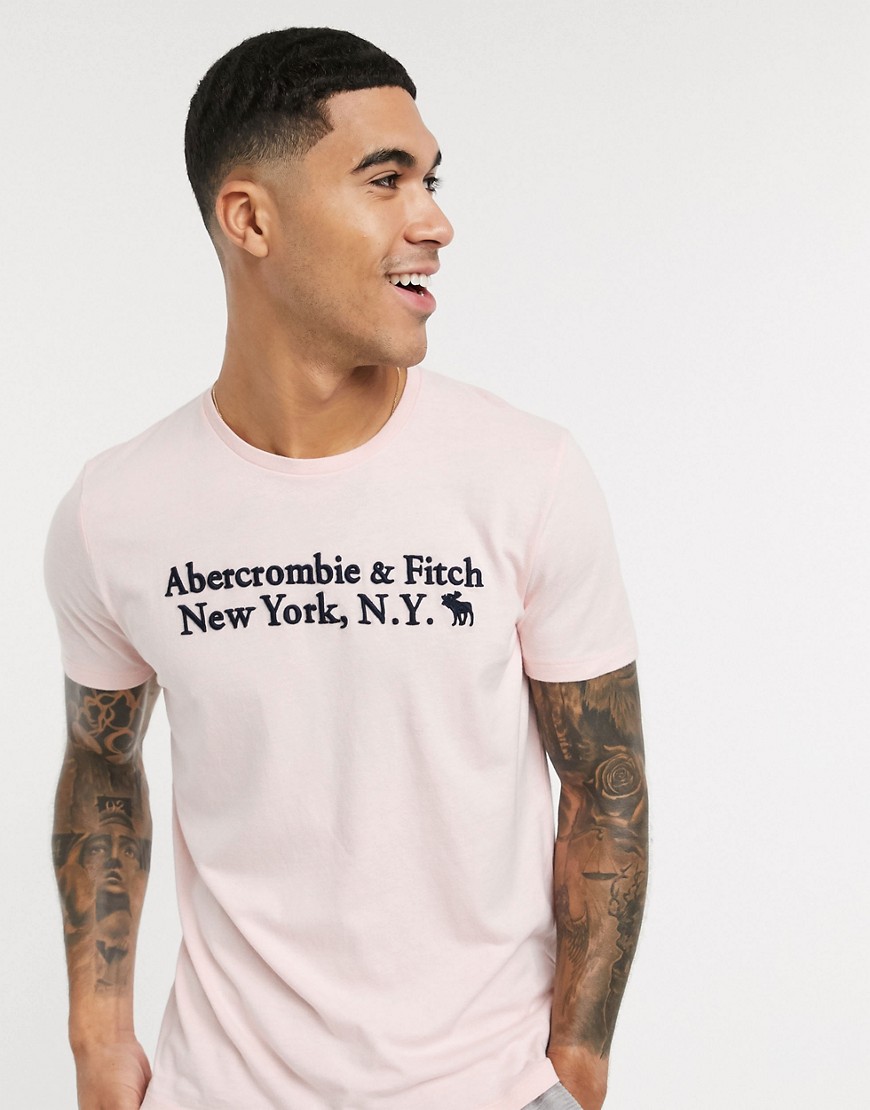 Abercrombie & Fitch icon core heritage logo t-shirt in pink