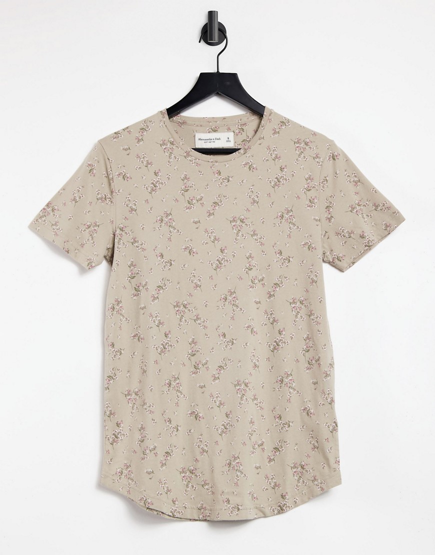 Abercrombie & Fitch icon curved hem t-shirt in cream floral