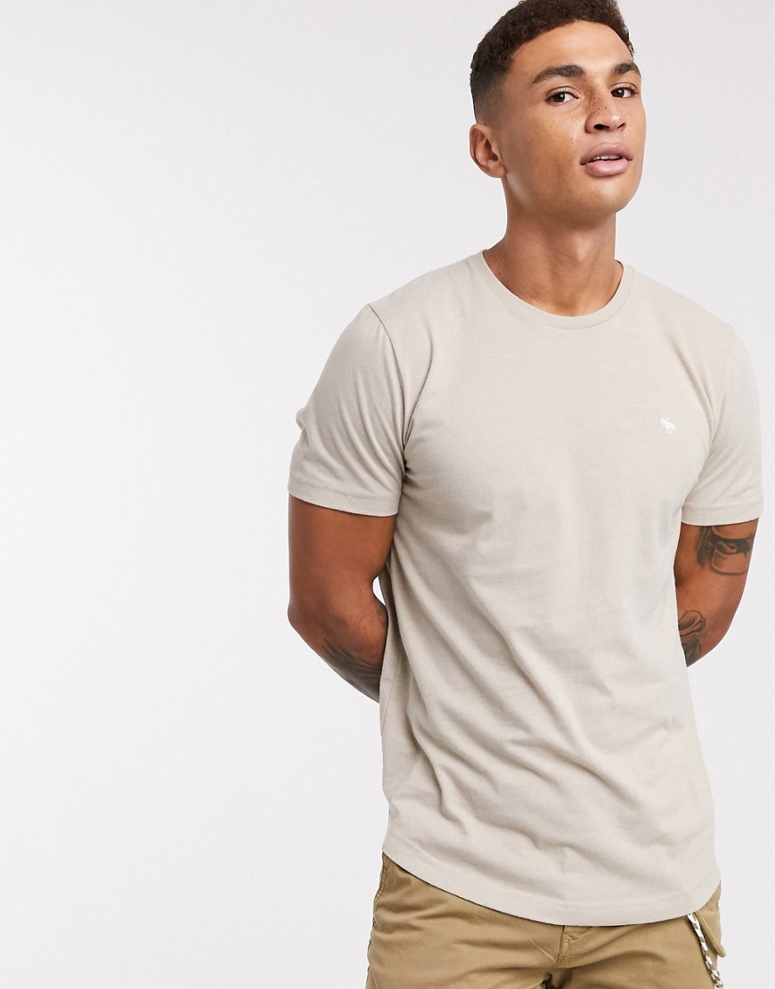 Abercrombie & Fitch icon curved hem t-shirt in oatmeal-Cream