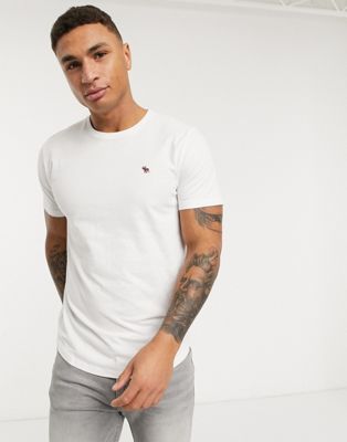 Abercrombie & Fitch icon curved hem t-shirt in white