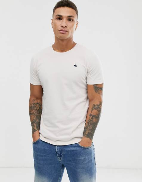 Abercrombie & Fitch icon logo crewneck t-shirt in moon beam