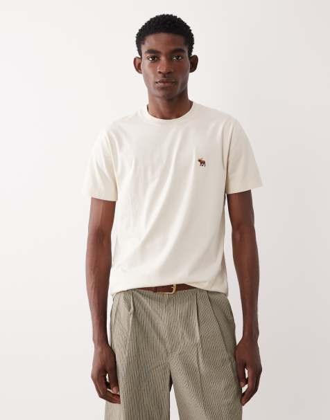 Abercrombie & Fitch icon logo everyday essential t-shirt in beige - view 1