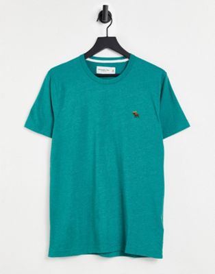 Abercrombie & Fitch icon logo t-shirt in green - ASOS Price Checker