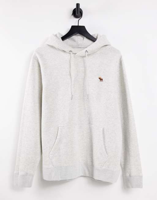 Abercrombie & Fitch – Lifelike Icon – Kapuzenpullover in Kalkgrau mit Logo
