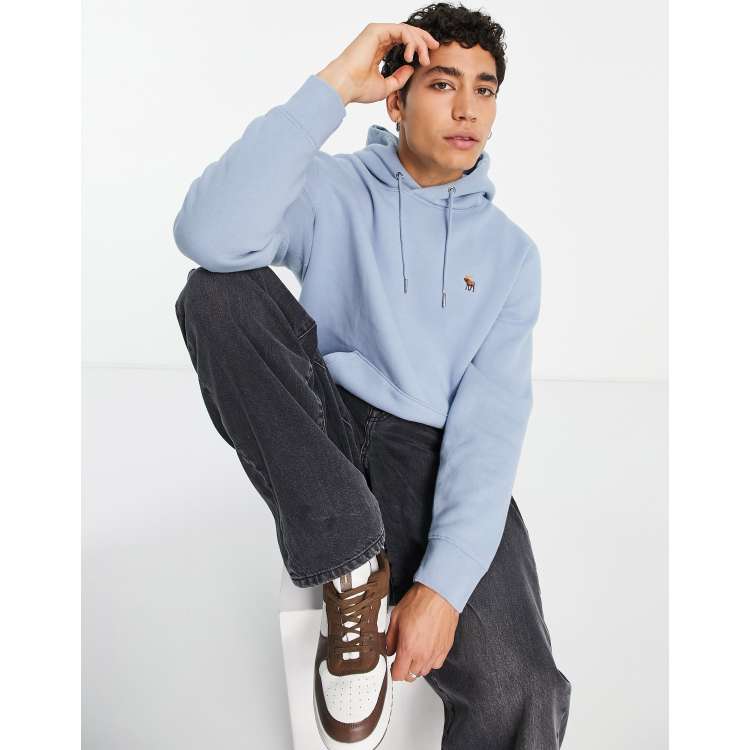 Polo ralph lauren discount hoodie blue hyacinth