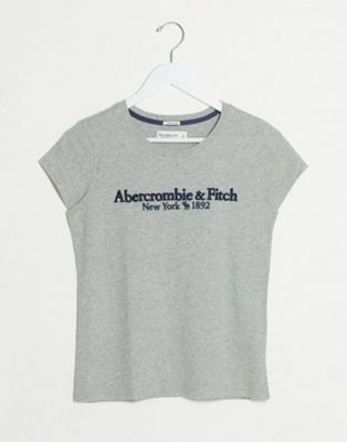 Abercrombie & Fitch logo round neck t-shirt in grey