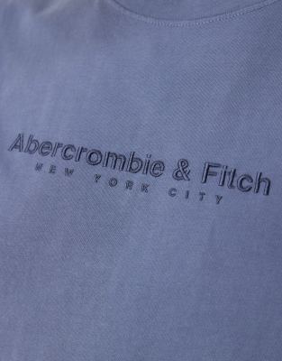 【Abercrombie & Fitch】ポリッシュ ロゴ Tシャツ 関税送料込 メンズ プレミアム ポリッシュ ロゴTシャツ 3枚セット | メンズ