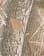 Thumbnail 5 of 5