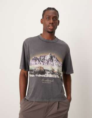 Abercrombie & Fitch Abercrombie & Fitch National Parks Badlands print acid wash crop t-shirt in charcoal-Grey