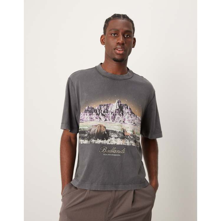 Abercrombie & Fitch National Parks Badlands print acid wash crop t