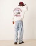 [Abercrombie & Fitch] Abercrombie & Fitch National Parks Denali print sweatshirt in white XS white