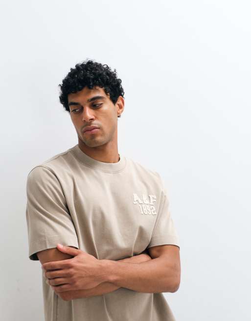 Abercrombie & Fitch patch logo t-shirt in taupe, 3 of 5