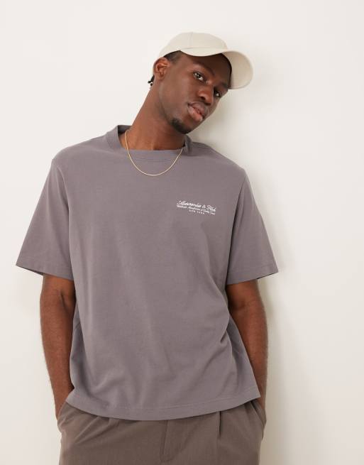 Abercrombie & Fitch polished embroidered logo t-shirt in grey