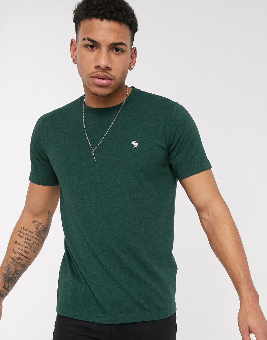 Abercrombie & Fitch pop icon neck t-shirt in green