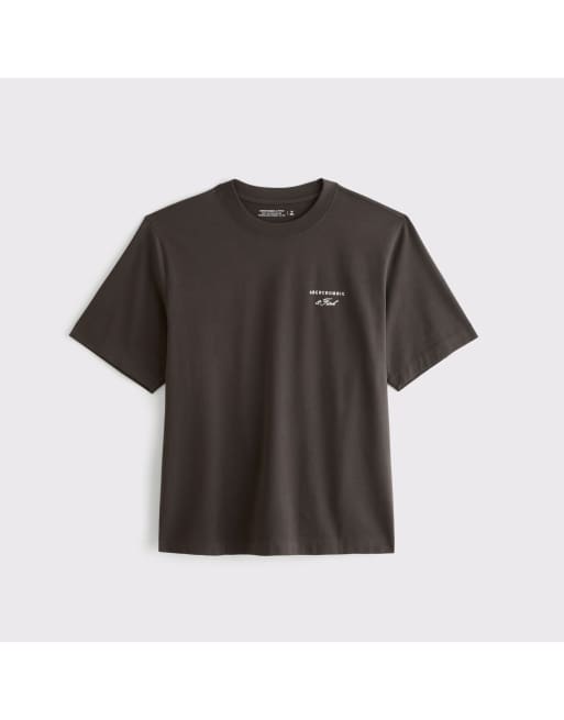 Abercrombie & Fitch Premium heavyweight 2.0 logo tee in brown, 2 of 2