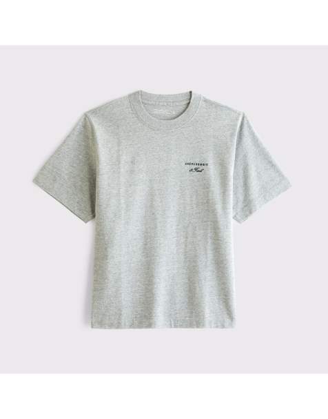 Abercrombie & Fitch Premium heavyweight 2.0 logo tee in heather grey - view 1