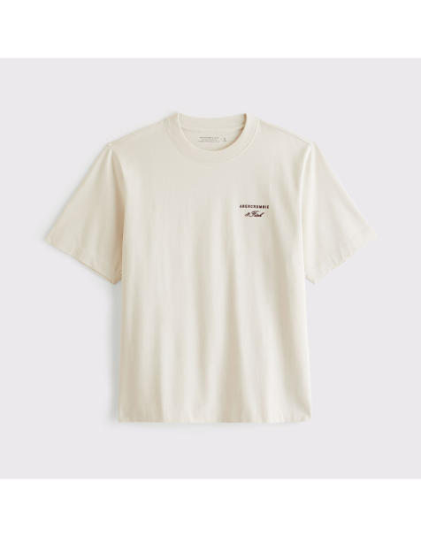 Abercrombie & Fitch Premium heavyweight 2.0 logo tee in warm beige - view 1