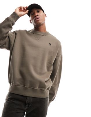 Abercrombie & Fitch silicone icon logo heavyweight oversized fit sweatshirt in brown - ASOS Price Checker