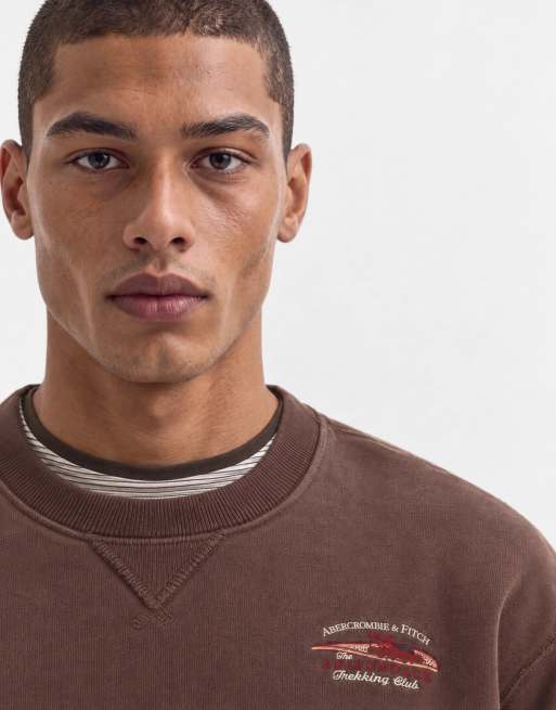 Abercrombie & Fitch sweatshirt graphique épais Heritage marron, 7 de 10