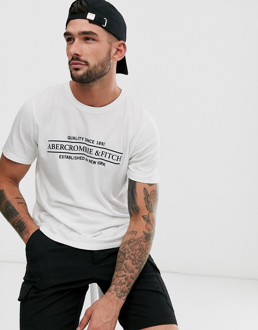 Abercrombie & Fitch - T-shirt bianca con logo e stampa di indirizzo-Bianco