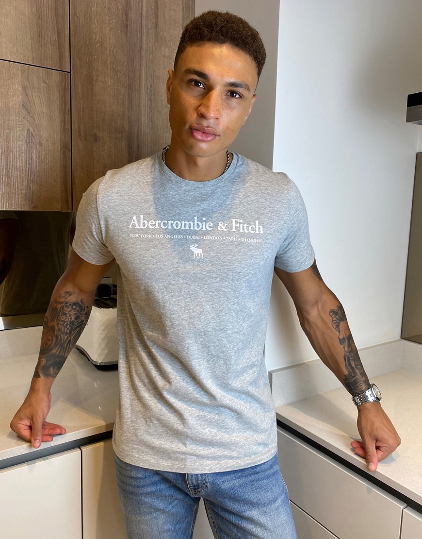 Abercrombie & Fitch - T-shirt grigia con logo stampato sul petto-Grigio