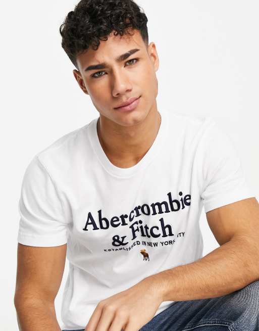 Abercrombie & Fitch t-shirt in white with chest logo, 4 of 4