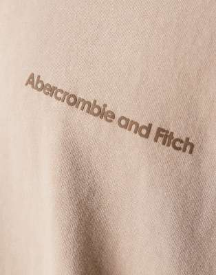 Abercrombie & Fitch vintage logo oversized fit t-shirt with back print in grey acid wash