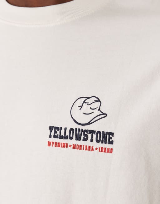 Abercrombie & Fitch western graphic t-shirt in white, 5 of 5